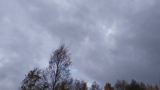 Перелёт