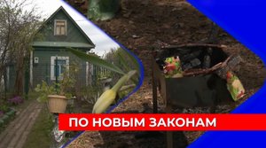 Ромашка и мята – под запретом, за вьюнок – можно и в тюрьму: изменения для дачников в этом сезоне