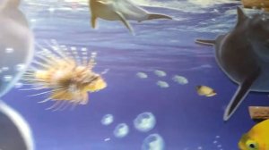 Интерьерная наклейка на стену Дельфины с эффектом 3D