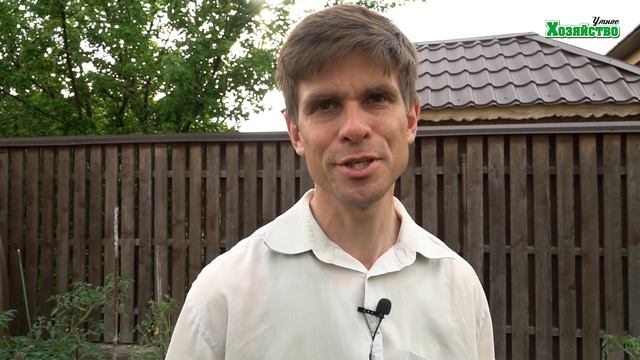 Очень важная подкормка, для увеличения завязей! Бор, Цинк и Фосфор смотреть онлайн