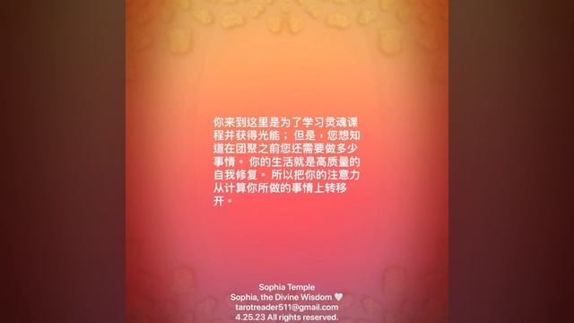 4.25.23 Twin Flame Collective Reading