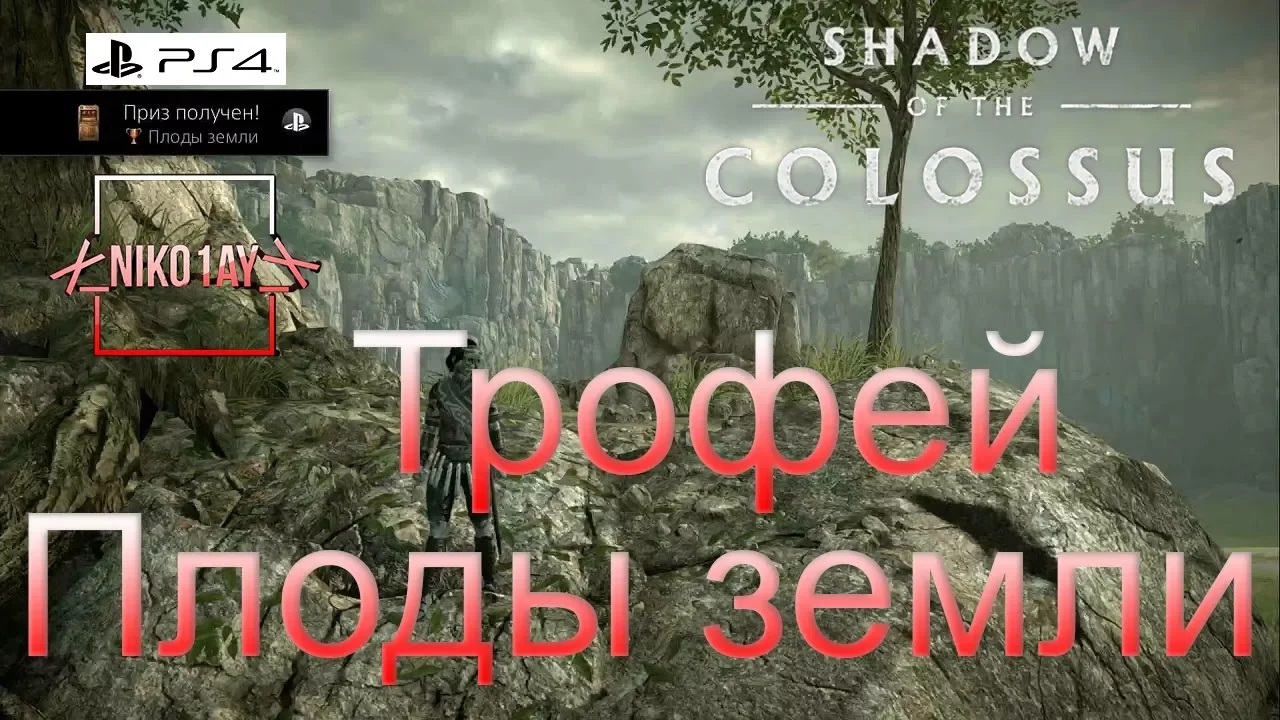 Shadow of the Colossus (В тени колосса) Трофей [PS4] Плоды земли