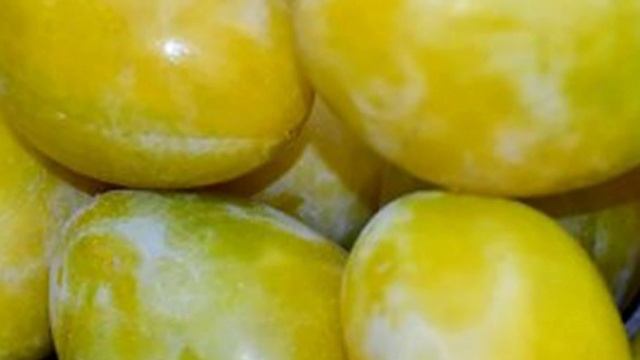 Когда и чем подкормить Сливу весной, чтобы она давала как можно Больше урожая. Народные средства