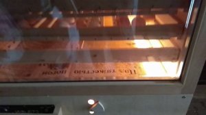 Инкубатор ИФ-672 печальный опыт