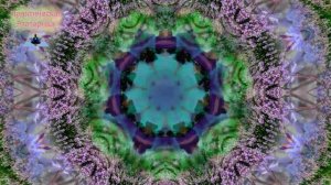 Красивая нежная мантра, дающая вдохновение ॐ Волшебная мантра для развития интуиции