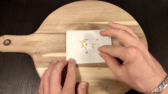 Najbrže klijanje sjemena povrća bez zemlje! Samo 24h смотреть онлайн