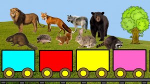 Изучаем диких животных. Развивающие мультфильмы для детей.