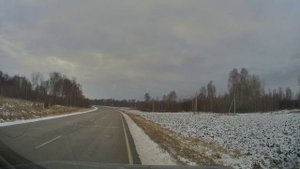 Русская пегая гончая