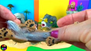 Big Cat Week - Zoo Animals - Top 10 Most Dangerous African Animals - SFR Kids