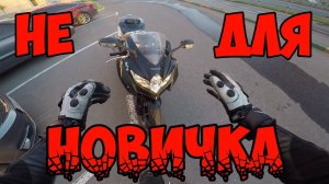 Я твой МОТИК КАТАЛ : Suzuki GSXR750 2008 г.в.