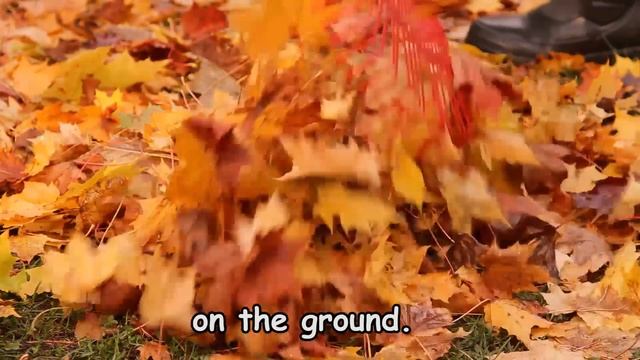 Autumn Songs for Children - Autumn Leaves are Falling Down - Kids Songs by The Learning Station смотреть онлайн