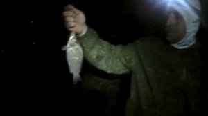 ФЛЭТ МЕТОД. Бешенный клев карася. Рыбалка на Флэт Метод Фидер