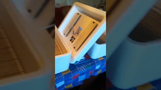 Купила инкубационное яйцо индейки БИГ 6 смотреть онлайн