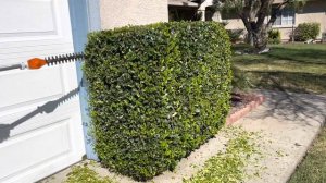 Stihl KM56RC With Hedge Trimmer Attachment