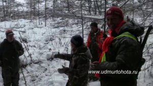 Охота на лося загоном в Удмуртии Drückjagd auf Elchwild