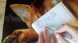 ВЯЖЕМ ПЛАТЬЕ ДЛЯ ДЕВОЧКИ 4-5 ЛЕТ.ЧАСТЬ 4.