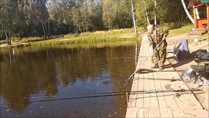 Дело к вечеру, а количество поимок осетра растёт. Ловля осетра на нижнем водоёме в Клёвом месте.