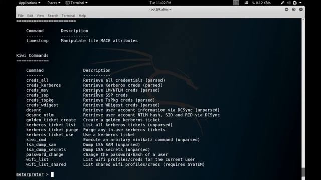 Windows Server 2008 Access Without passwords and Placing a backdoor смотреть онлайн