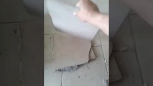 Плитка и наливной пол