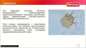 Демодекоз и саркоптоз