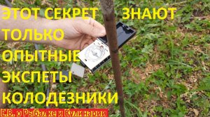КАК УЗНАТЬ НА КАКОЙ ГЛУБИНЕ НАХОДИТСЯ ВОДА НА НАШЕМ УЧАСТКЕ ЛЕГКО, ЭТО ЗНАЮТ ТОЛЬКО ОПЫТНЫЕ ЭКСПЕРТЫ