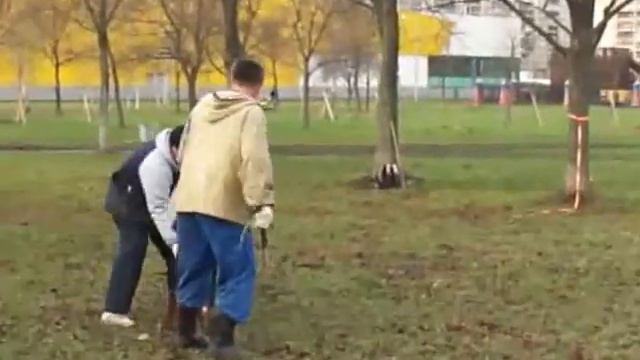 Варус 02 11 13 смотреть онлайн