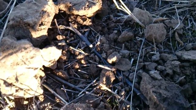 Коп по старине с теркой 705 смотреть онлайн