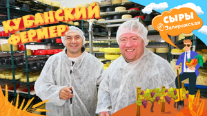 КУБАНСКИЙ ФЕРМЕР_СЫРЫ