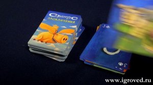 Свинтус. Злоключения. Обзор настольной игры от Игроведа