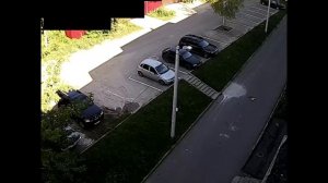 Специально раздавил машиной кота и остановился посмотреть, как он умирает