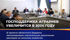 Господдержка аграриев увеличится в 2024 году