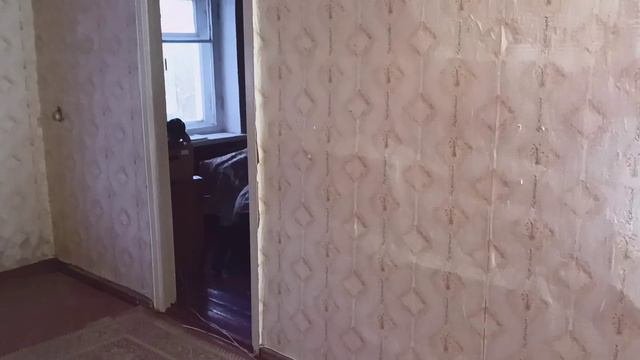 квартира