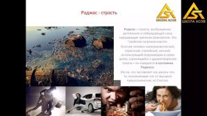 Что мешает в жизни / Школа Асов / Выпуск # 141