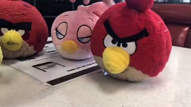 Angry birds show Stella смотреть онлайн