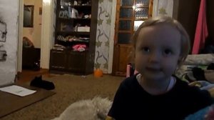 на лугу пасутся ко