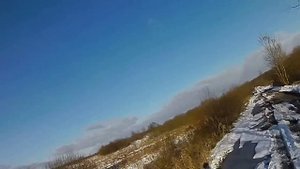 Зимняя загонная охота на кабана Hunting for wild boar 野猪捕猎在俄罗斯