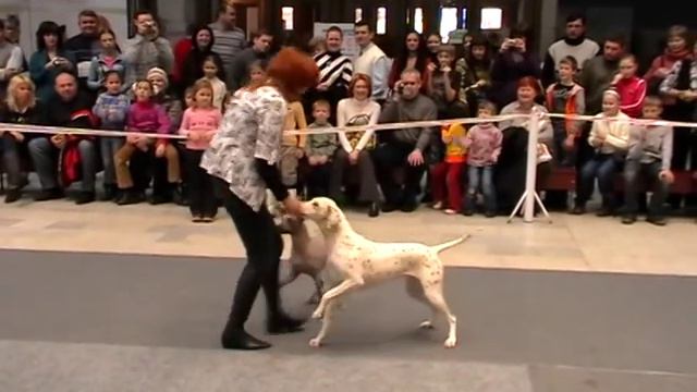 Харахурсах Лена Бесси и Ежевика. Цирк.mpg