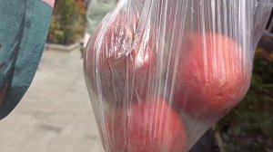 Пляж от отеля" Родина"??Обзор столовой " Царская Аллея"Новый Афон. Абхазия?