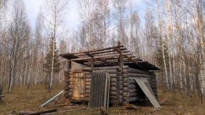 Избушка в лесу своими руками.Все этапы за 1 минуту.