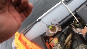 КАРЕЛИЯ Белое море СУПЕР клев ТРЕСКИ || Вышли на рыбалку в Белое море || Руки устали таскать ТРЕСКУ