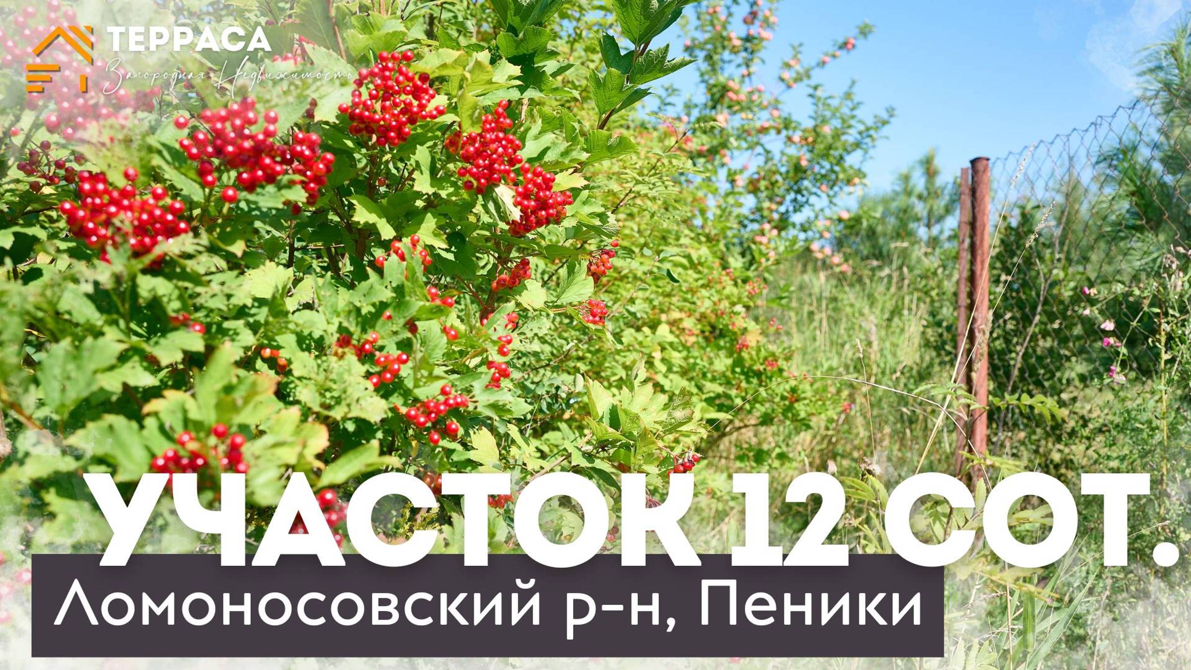 ВИДОВОЙ УЧАСТОК РЯДОМ С ФИНСКИМ ЗАЛИВОМ | Ломоносовский район| д. Пеники #купитьучасток