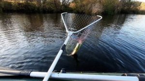 Новая лодка Triton 310 нднд под мотором Tarpon 5 S.