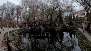 Парк Лога, много рыбов 03012024