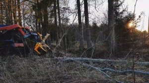 Bobcat Мини-погрузчик выкорчевывание деревьев