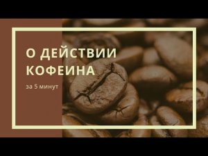 За 5 минут о действии кофеина