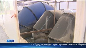 Тюменские очистные сооружения модернизируют к 2025 году