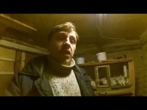 Клетка для перепелов своими руками #2 // Клеточная батарея