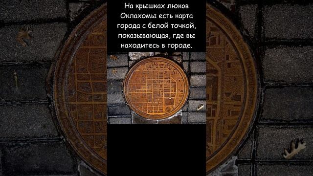 А знаете ли вы? Интересные факты из жизни #11