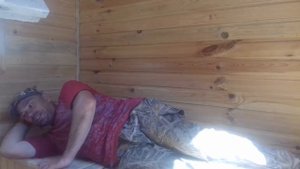 Апидомик, сон на пчёлах, апитерапия.
