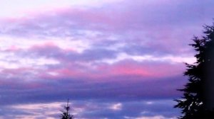 Афанасий Фет — Шепот, робкое дыханье